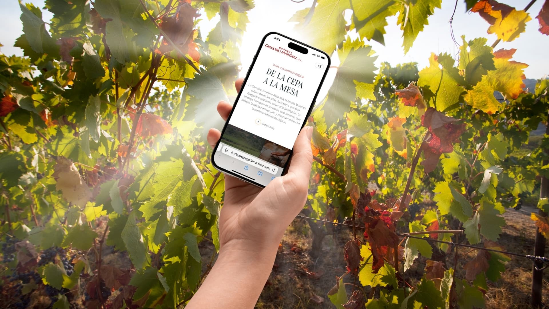 Bodega Gregorio Martínez