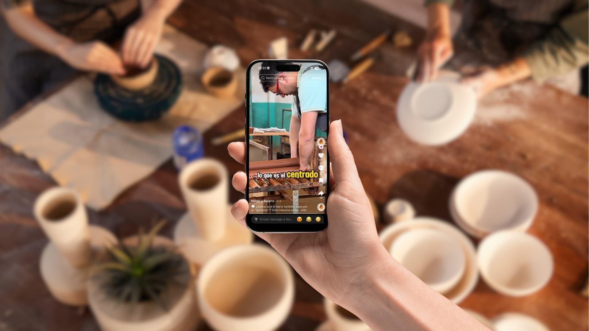 Redes Sociales de Noble y Bizarro